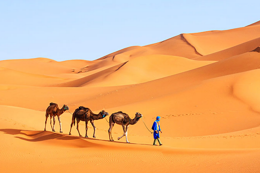 Marrakech desert tours 5 days
