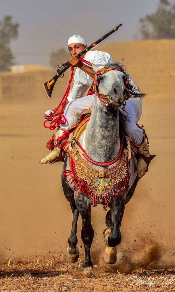 Camel trek in Erg Chebbi dunes