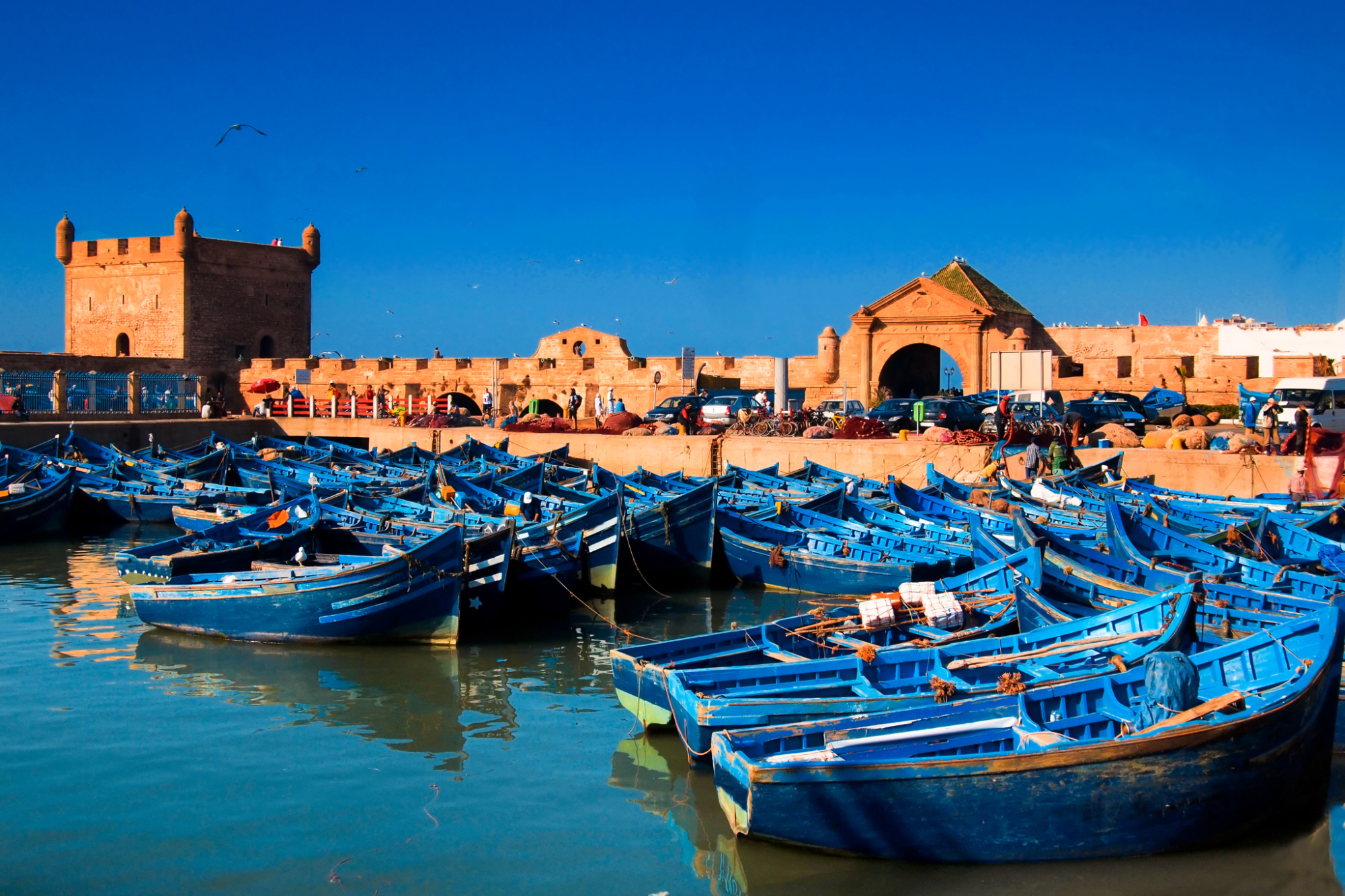 blog Essaouira Fishing Port