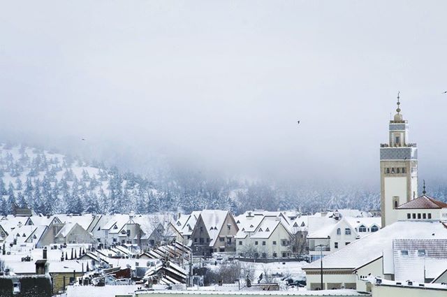 Ifrane Morocco: Complete Travel Guide to the Heart of the Middle Atlas