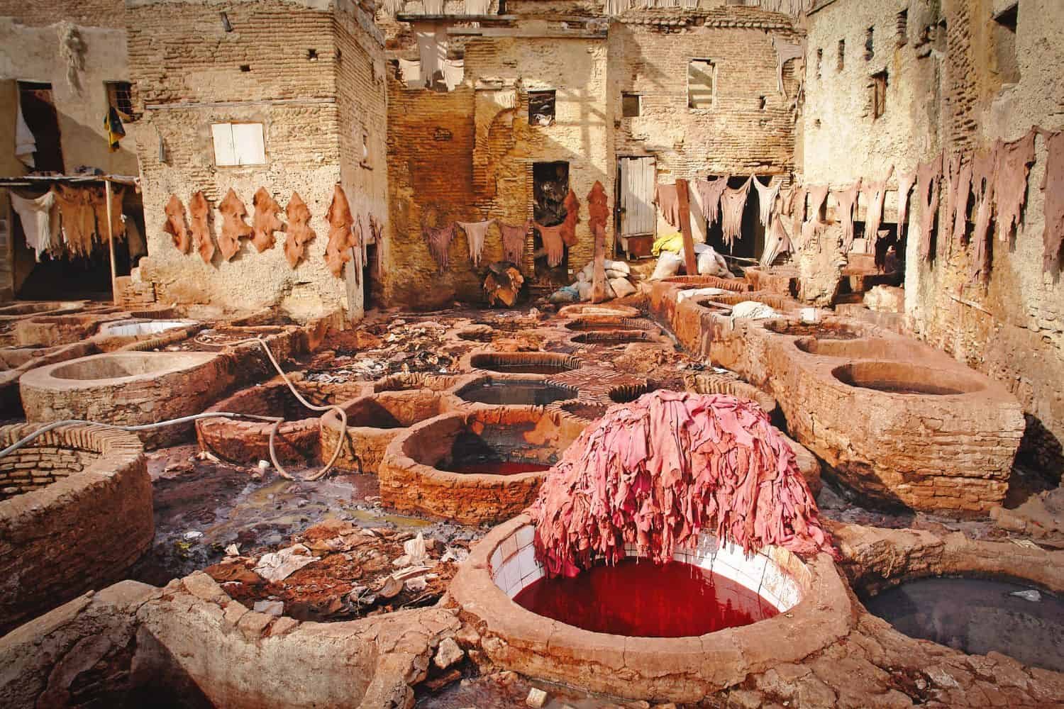 Chouara Tannery Fes: Complete Visitor Guide (2026)